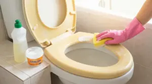 Pulizia di una tavoletta del water ingiallita con spugna e prodotti per la casa