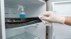 Mano con guanto pulisce la guarnizione del frigorifero con muffa nera usando un panno, con detergente spray sullo sfondo